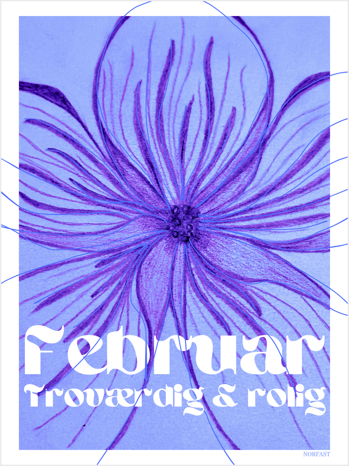 Hjemmeside februar 30x40