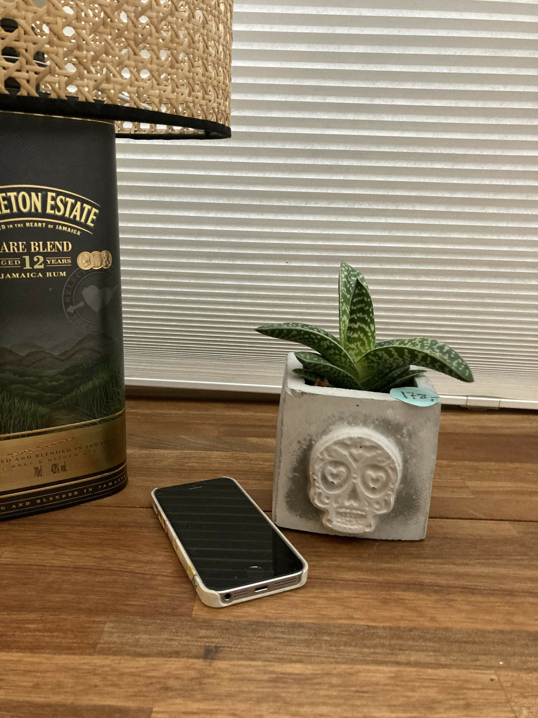 Pot with plant- unique - sugar skull front