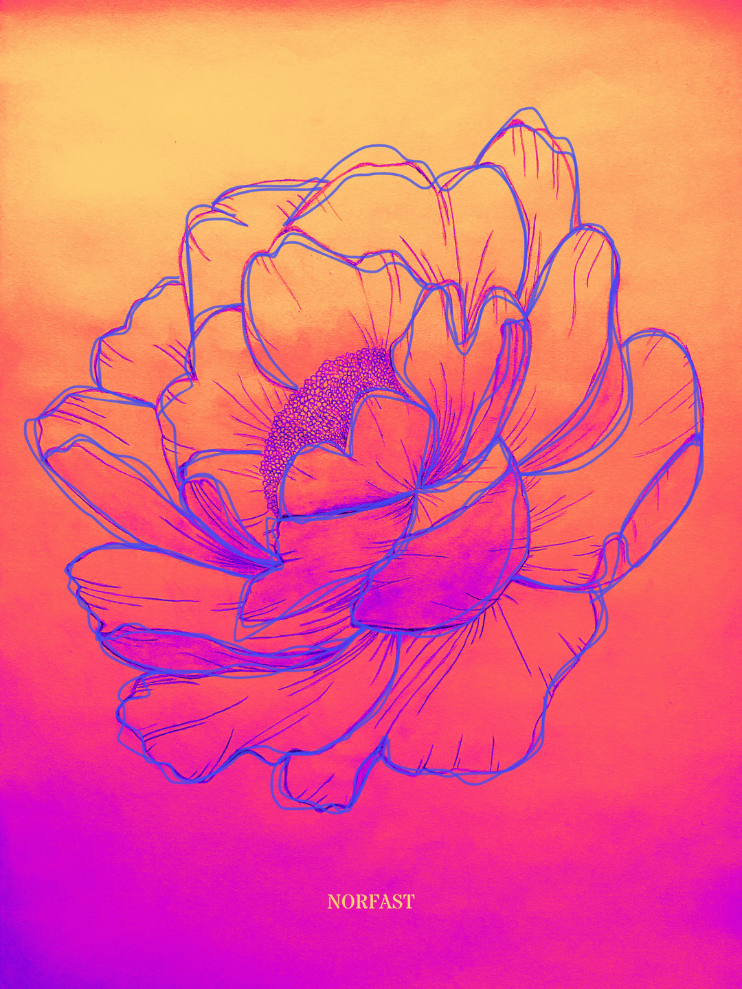Kunstplakat x Lotus ved solnedgang