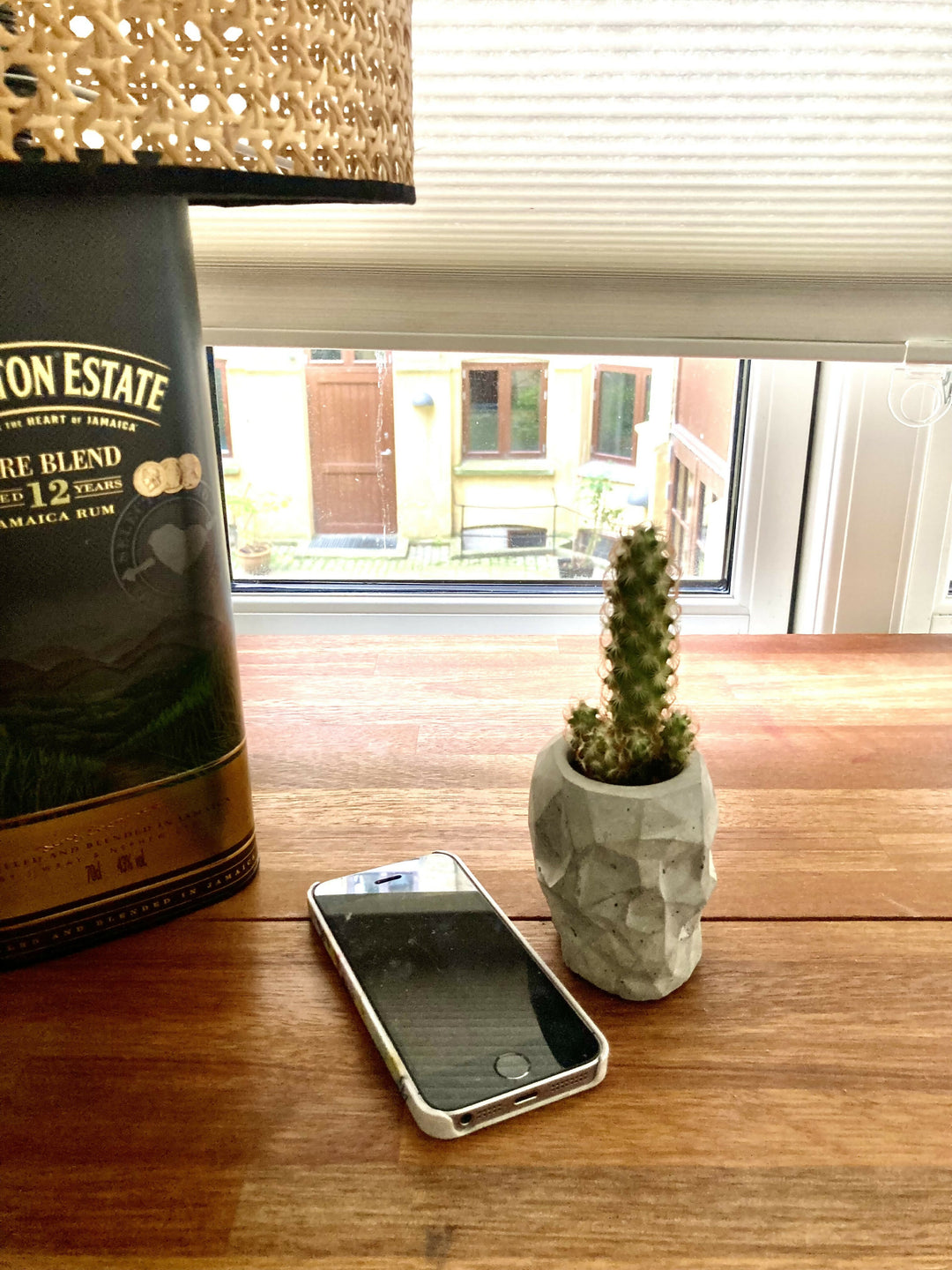 Pot with plant (cactus) skull