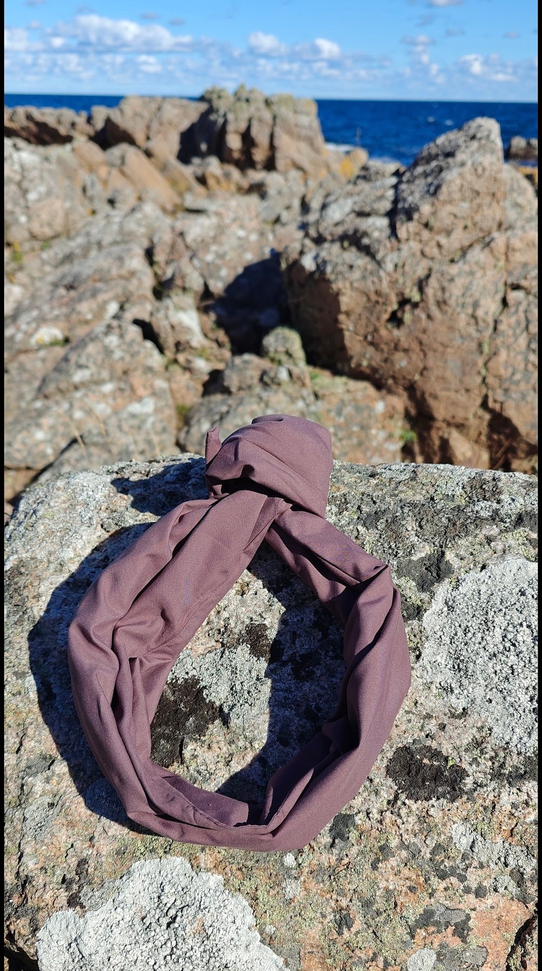 Big plum wireheadband