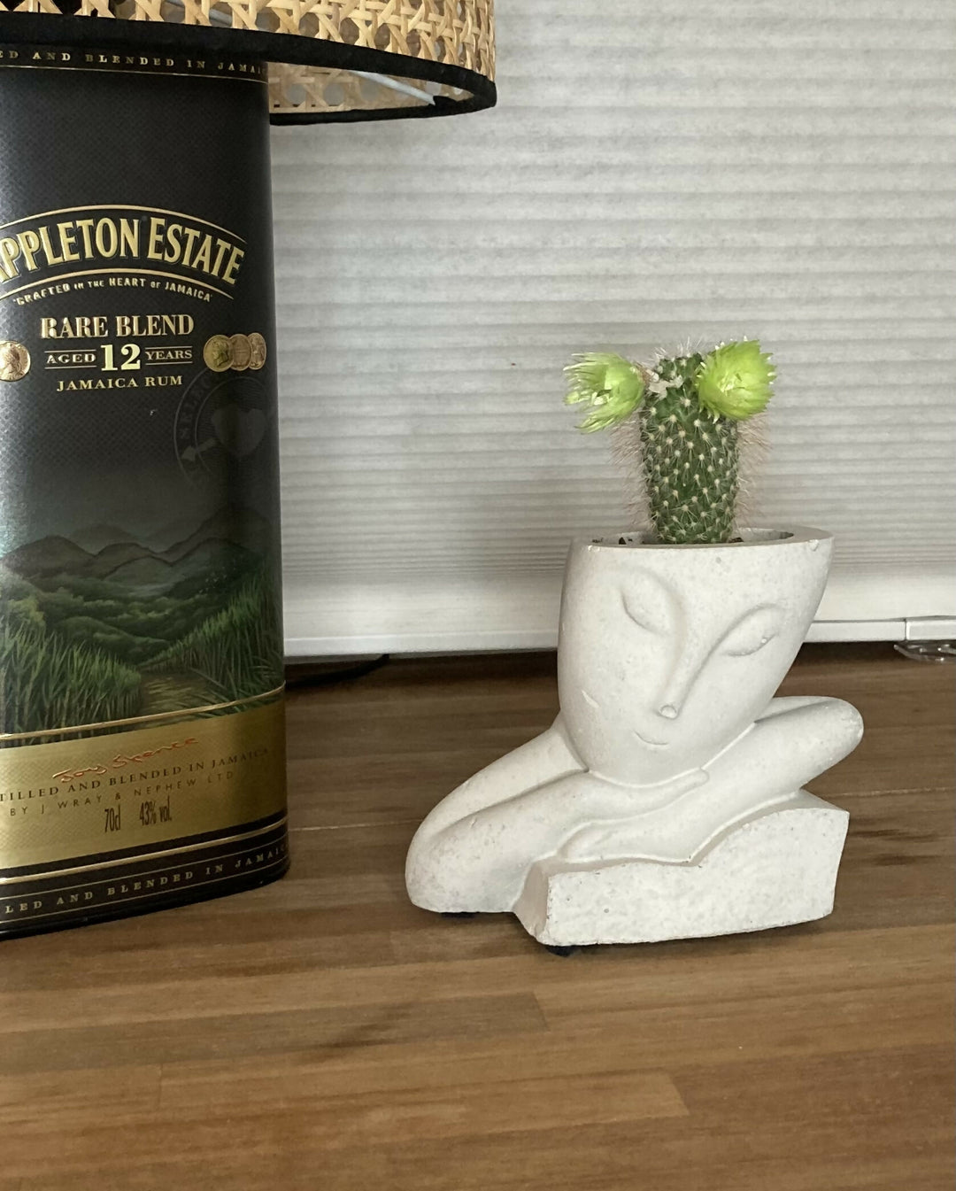 Pot with plant - Leaning lady
