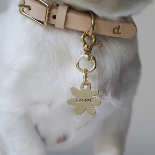 For Pets
