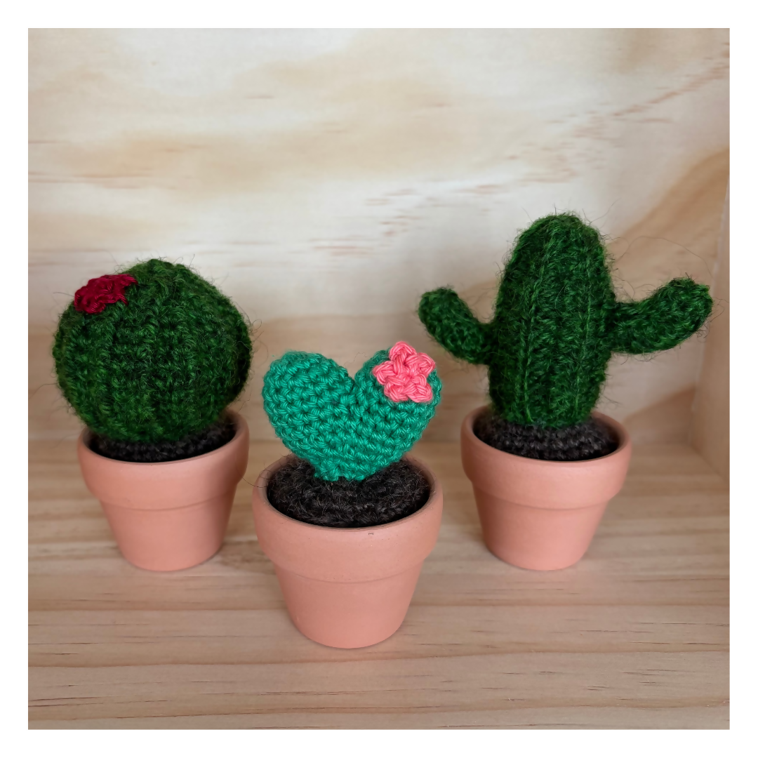 Mini Succulents (1)