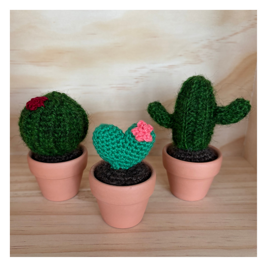 Mini Succulents (1)