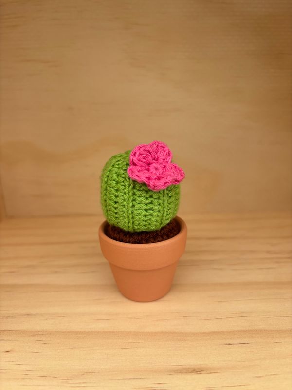 Mini Crochet Succulents