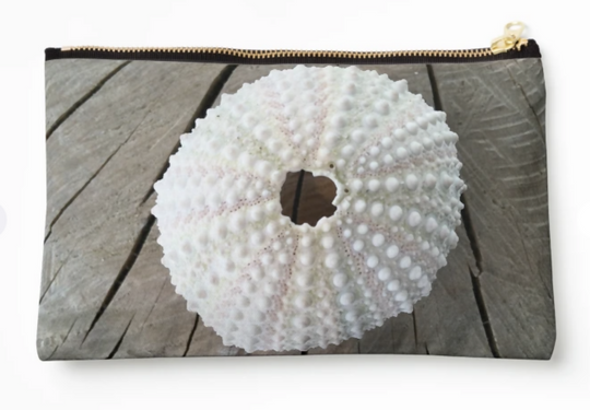 Pouch small sea egg