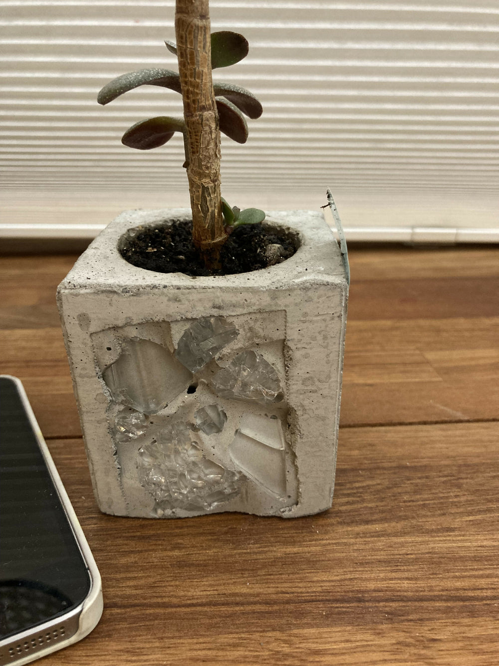 Pot with plant- unique - glass mosaic